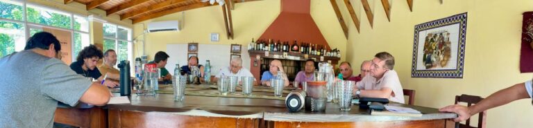 Definitorio ampliado y más…